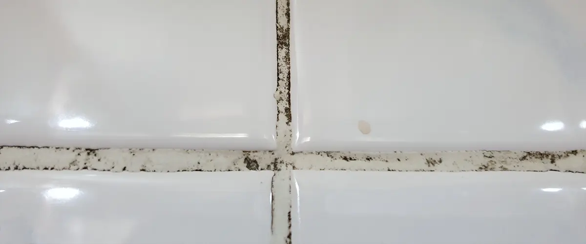 Mold on grout on tile walls