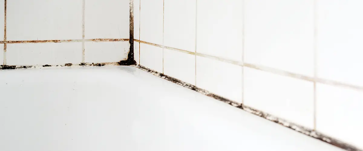 How To Prevent Mold In Showers Offcut Interiors   Mold On Caulk.webp