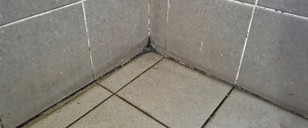 Dark mold on bathroom tile grout